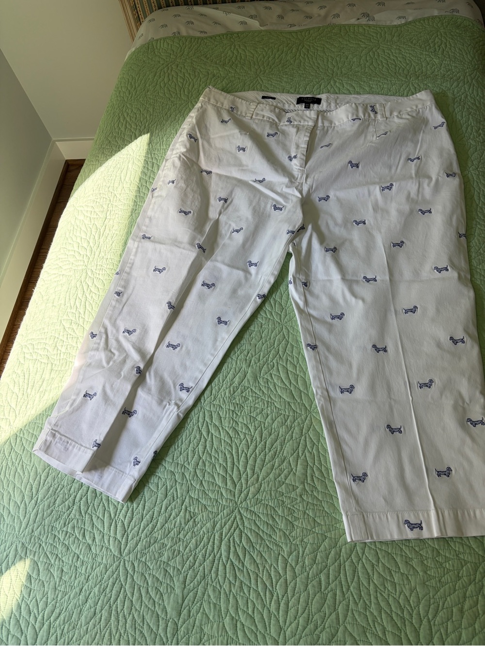 White Cotton Stretch Chinos with Navy Dog Embroidery -